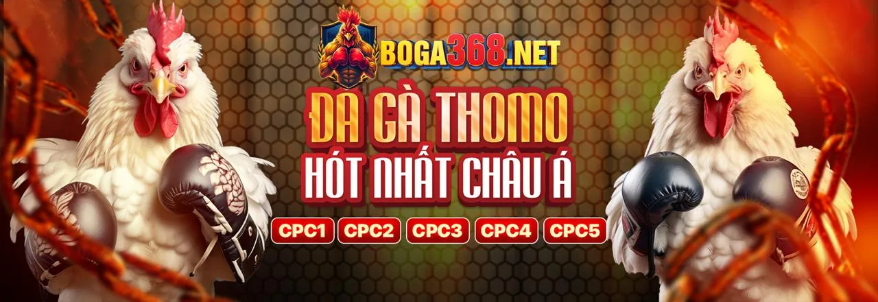 Đá gà trực tuyến Melbet Casino 2026